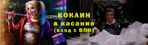 соль ск Михайлов