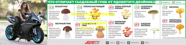прущая мука Михайловск