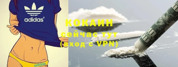 соль ск Михайлов