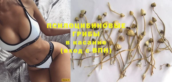 соль ск Михайлов