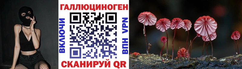 Купить где Игарка Псилоцибиновые грибы Psilocybine cubensis